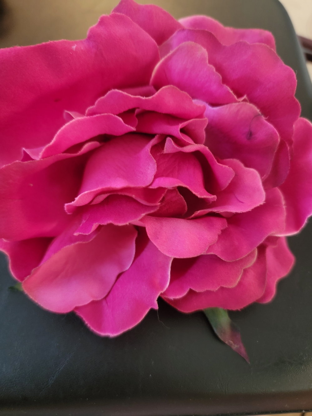 Faux Magenta Rose Pony Tail Flower Holder For Hair